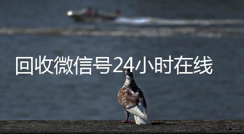 回收微信号24小收购微信号秒结账时在线秒结（回收微信号网站）